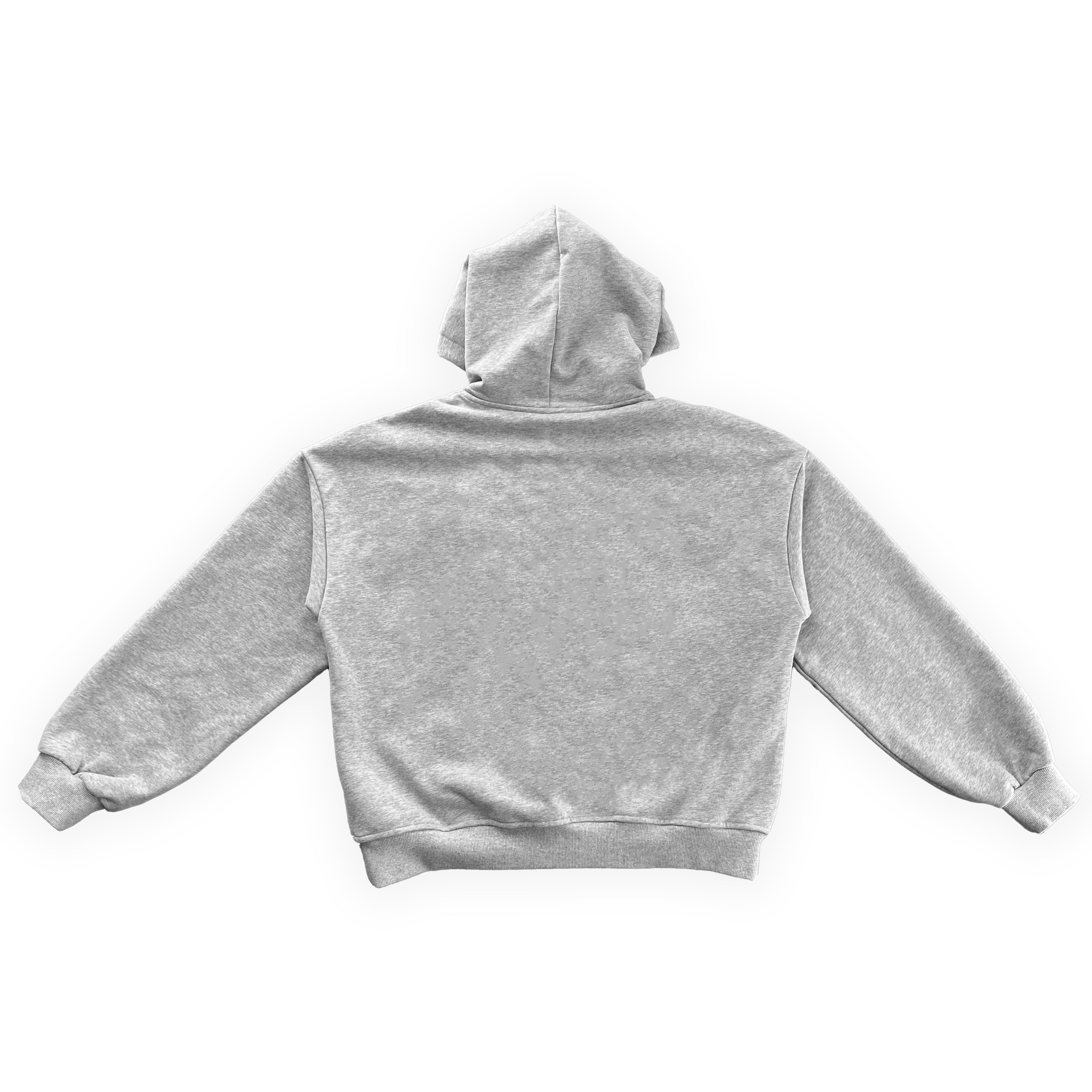 wori logo cropped hoodie grey