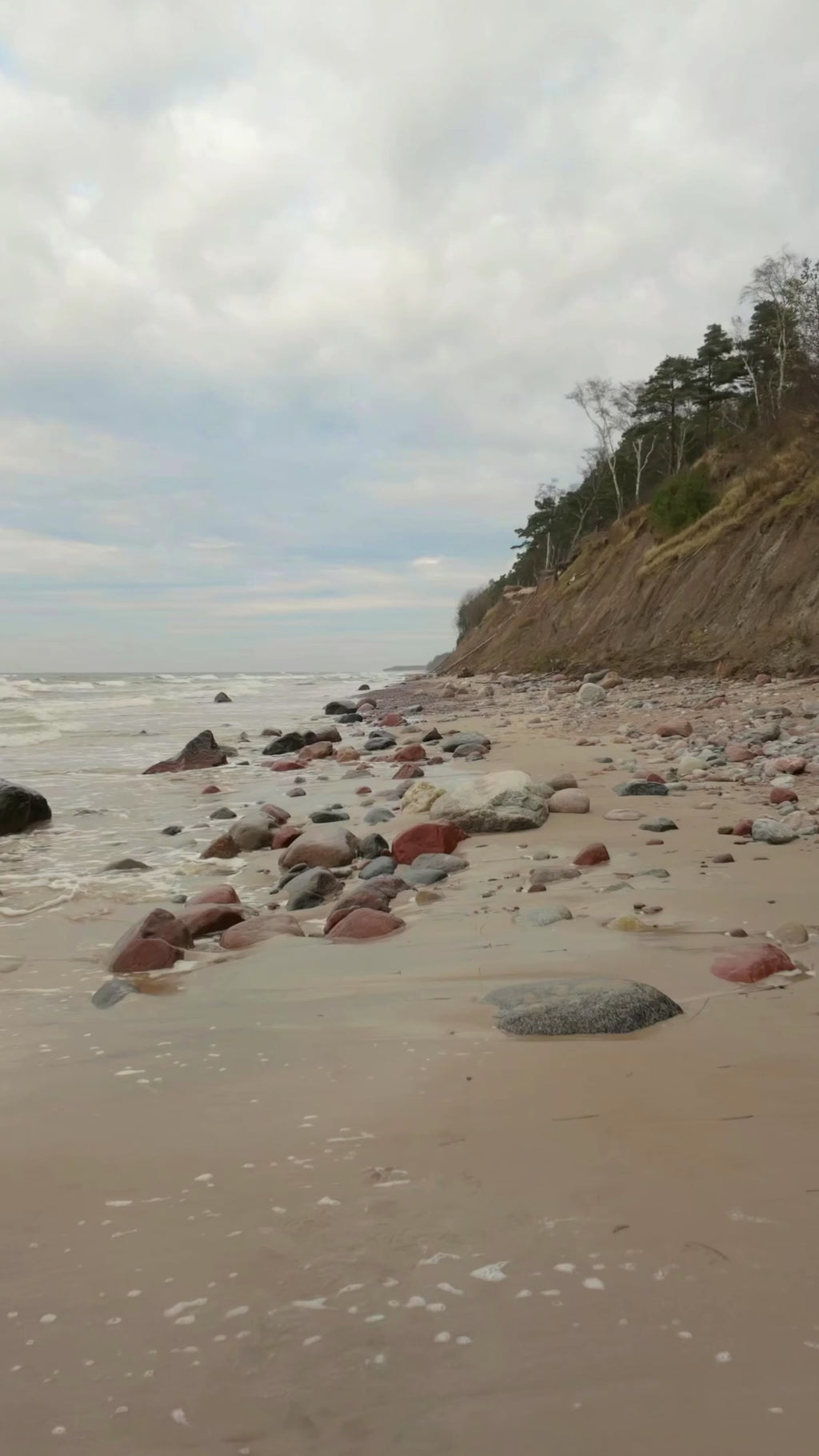 wori flower field zip-up pink